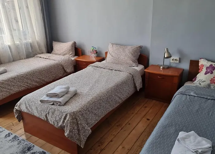 Old Style בית הארחה